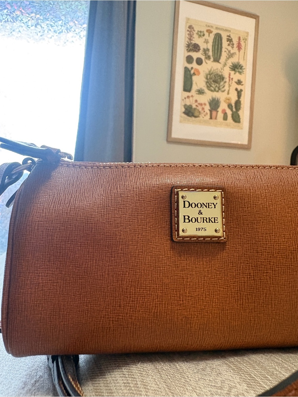 Dooney & Bourke Pebble Grain Buffy Crossbody - Picture 9 of 13
